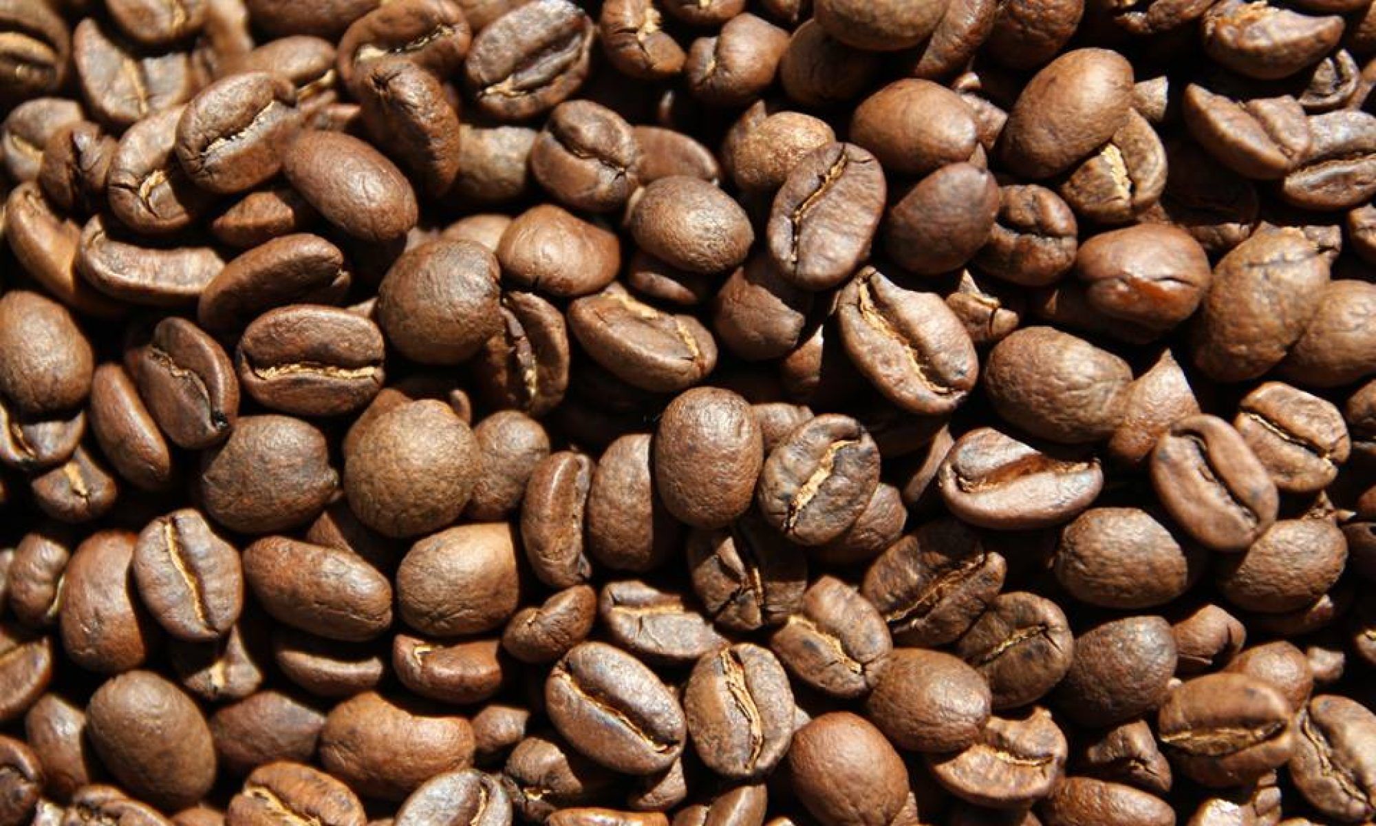 SashaCoffee